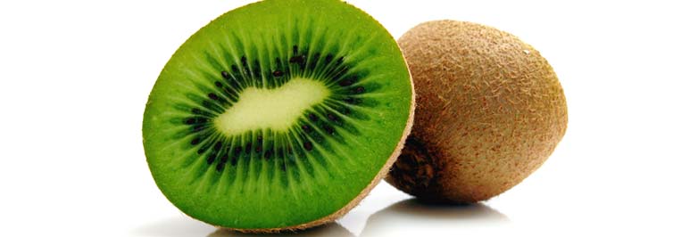 Το κτημα μας