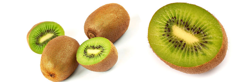 Οι ποικιλίες μας